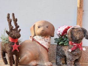 Hunde Weihnachtsmarkt